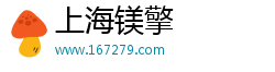 上海镁擎